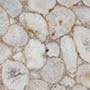 Extra White Fossil